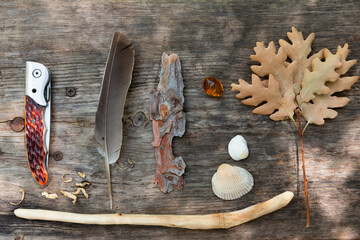 Kids leisure activities in summer camp. Children trophies on vacation. A penknife, seagull feather, plum tree resin, pine bark, shell, oak branch and a wooden stick. Kids set for creativity.