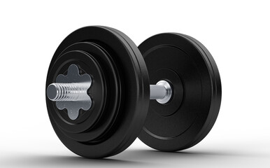 Obraz na płótnie Canvas 3d gym weight