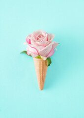 Fresh blossoming white pink rose in an ice cream cone. Minimalist concept on a blue background