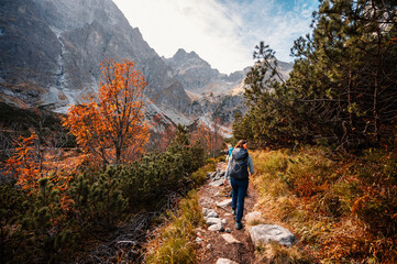 Naklejka na ściany i meble Young traveler hiking girl with backpacks. Hiking in mountains. Sunny landscape. Tourist traveler on background view mockup. High tatras , slovakia