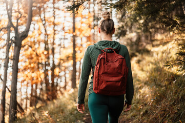  Young traveler hiking  with backpacks. Hiking in mountains. Sunny landscape. Tourist traveler on...