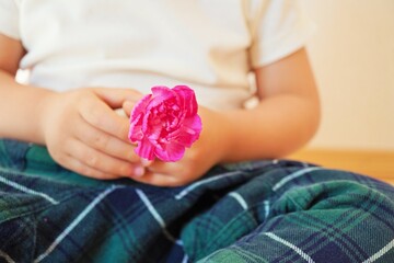 座ったこどもが持つ赤い一輪カーネーションの花