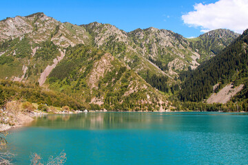 panoramic scenic view of lake and mountains covered with trees