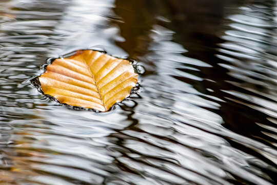 Stille und Ruhe, allein auf dem Wasser