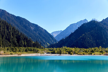 panoramic scenic view of lake and mountains covered with fir trees