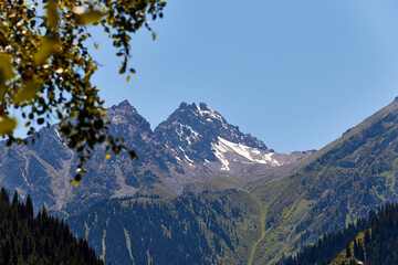 scenic view of the rocky mountain top and the slopes covered with forest