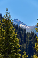 scenic view of the rocky mountain with slopes covered with forest