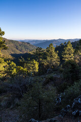 Vue sur les montagnes des Cévennes depuis le Signal Saint-Pierre (Occitanie, France)
