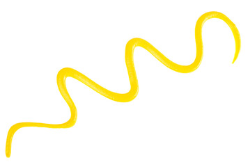 Top view of yellow mustard sauce isolated on a white background.