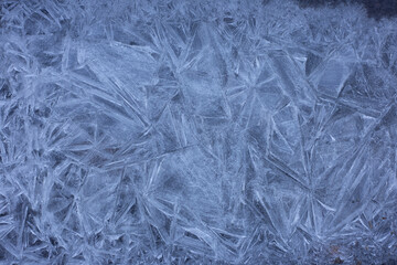 the  abstract frozen ice background