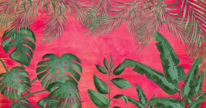 Tropical plants Monstera, Banana Palm  Leaves animation on red  background. Hand drawn cartoon style 