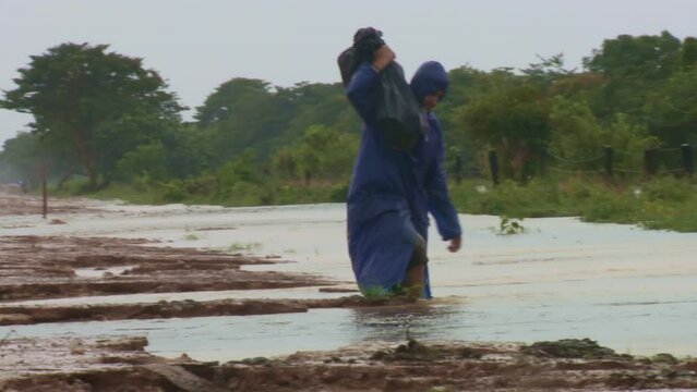 A person struggles to carry a sack of belongings while fleeing a devastating flood in a tropical region, a direct consequence of climate change. Battling harsh conditions, they cross a rough.