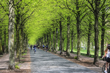Promenade in Münster im Frühling