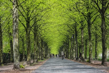 Promenade in Münster im Frühling © photofranz56