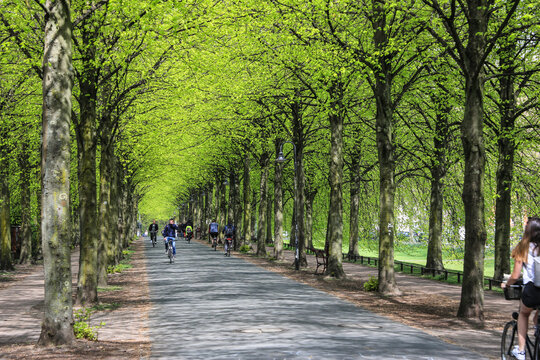 Promenade in M&uuml;nster im Fr&uuml;hling