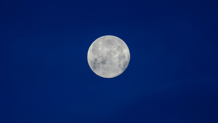 Naklejka na ściany i meble Wolf full moon on cold winter night in January 