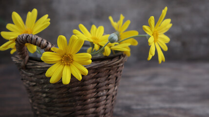 spring concept. Beautiful floral arrangement of yellow flowers on a gray background with copyspace.