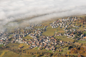 Nebel in der Herrschaft