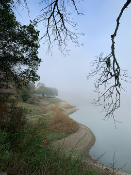 Foggy hike 2