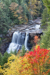 Blackwater Falls with Autumn Color