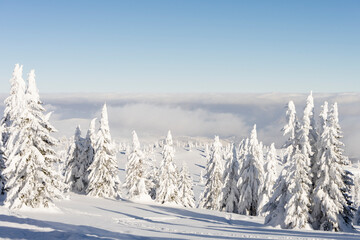Fototapeta na wymiar Winter mountain landscape. Fir trees under the snow on the ski slope and clouds. High quality photo