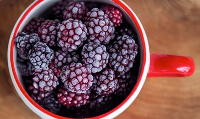 cup of  blackberries