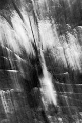 waterfall in the forest
