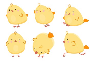 Vector set for easter celebration. Cute little chickens. Vector baby illustration. Chicks on a white background
