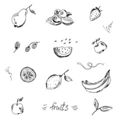 Black fruits and berries sketch painting, hand drawn set isolated on white background