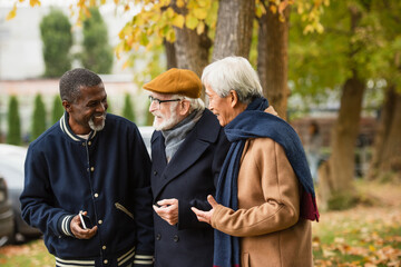 Smiling interracial men with smartphone talking in autumn park.