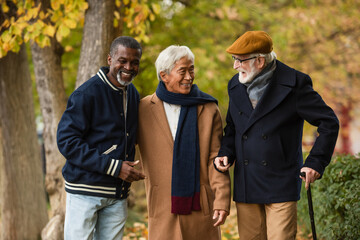 Interracial grey haired men smiling in autumn park.