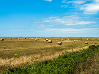 Obraz premium Hay rolls in a field in Eastern cape South Africa
