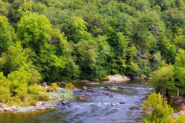 Scenic landscape where a small river cuts through a forest