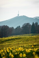 Chasseral, Jura, Switzerland