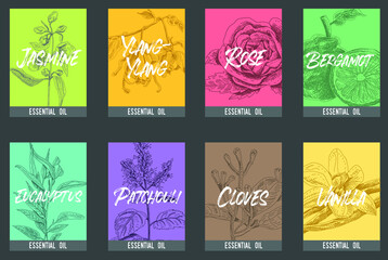 Essential oil - cards set. 8 colorful aroma oil cards set. Sketchy hand-drawn vector cards.