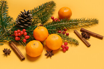 Fototapeta na wymiar Composition with tangerines, fir branch, berries and spices on color background, closeup