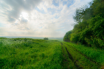 road in the field after rain