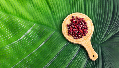 Raw red adzuki beans in the bowl - Vigna angularis