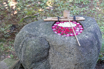 花、手水鉢、庭、岩、フラワーアレンジメント