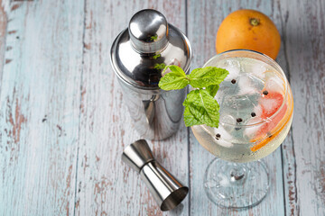 Gin Tonic garnished with grapefruit and mint.