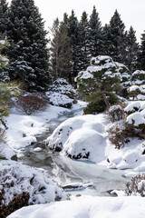 Fototapeta premium colorado