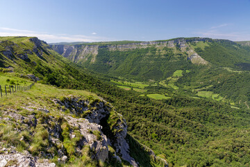 Fototapeta na wymiar Nervion river canyon in Delika, Araba, Basque Country, Spain.