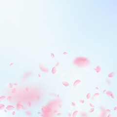 Sakura petals falling down. Romantic pink flowers gradient. Flying petals on blue sky square background. Love, romance concept. Stunning wedding invitation.