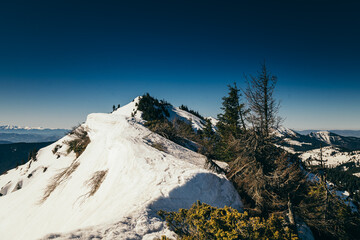 Mountains, coniferous forest in the snow, deforestation, spring