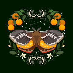 illustration of celestial moth at night with flower - obrazy, fototapety, plakaty