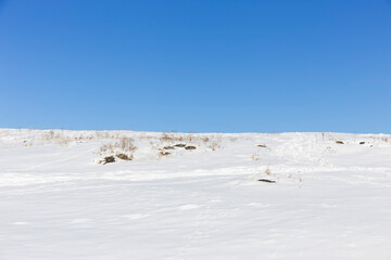 Snowy sunny Ticha Sarka in the Winter, Nature Reserve in Prague