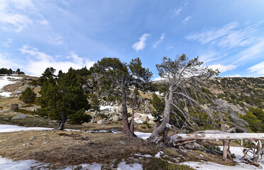 Fototapeta na wymiar Spanien - Pyrenäen - Pic de Perafita - Wanderweg