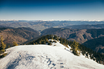 Mountains, coniferous forest in the snow, deforestation, spring