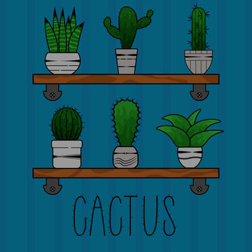 Cactus