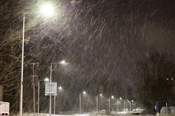 Mocny opad śniegu w nocy w świetle latarni - obrazy, fototapety, plakaty